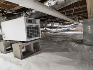 dehumidifier in crawlspace