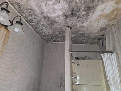 Bathroom Mold Remediation
