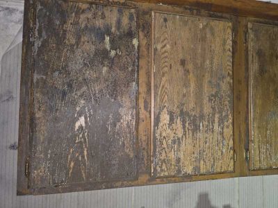 Cabinetry Mold Growth Infestation