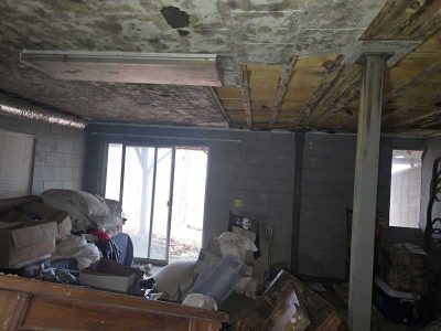 Ceiling Mold Growth Remediation In Progress