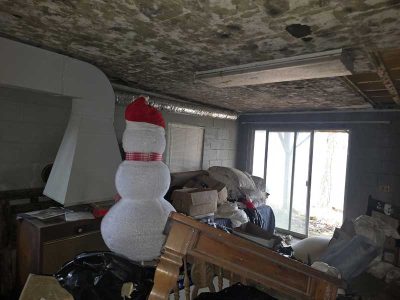 Ceiling Mold Growth Removal