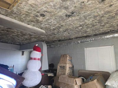 Ceiling Mold Removal