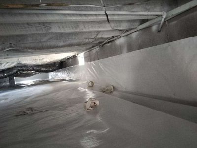 Crawlspace Waterproofing Mold Remediation Service