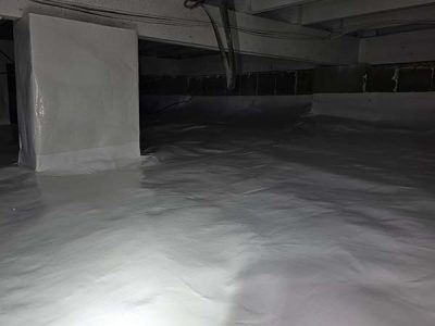 Encapsulating Crawl Space Project