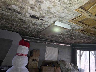 Mold Damage Ceiling Remediation