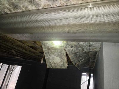 Mold Damage Ceiling Removal