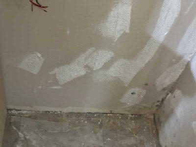 Mold Growth Removal Services