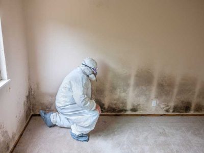 Professional Mold Remediator Contractor