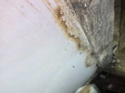 Property Water Damage