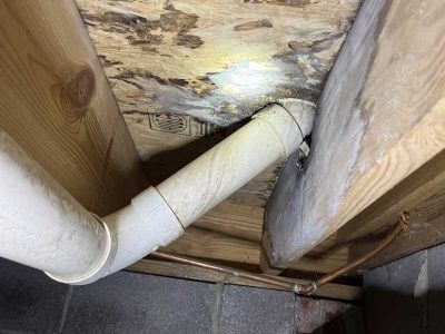 Water Damage Mold Growth Remediation