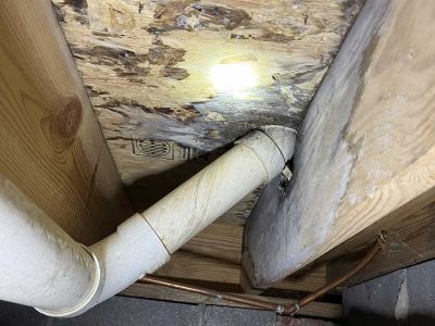 Water Damage Mold Growth Removal