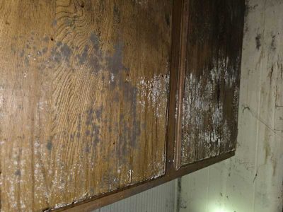 Wooden Cabinet Mold Growth Infestation