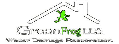 GreenFrog LLC
