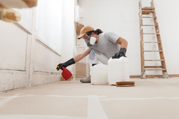 Learn More About Mold Remediation