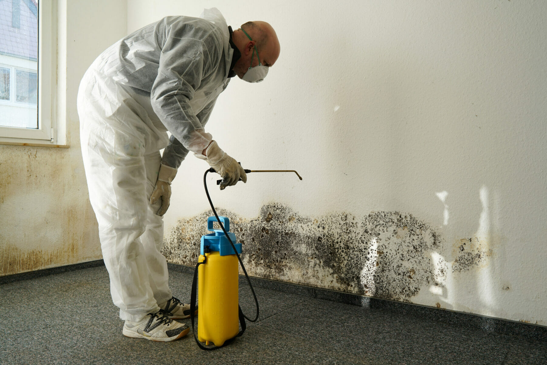 Mold Remediation Process in Chattanooga TN