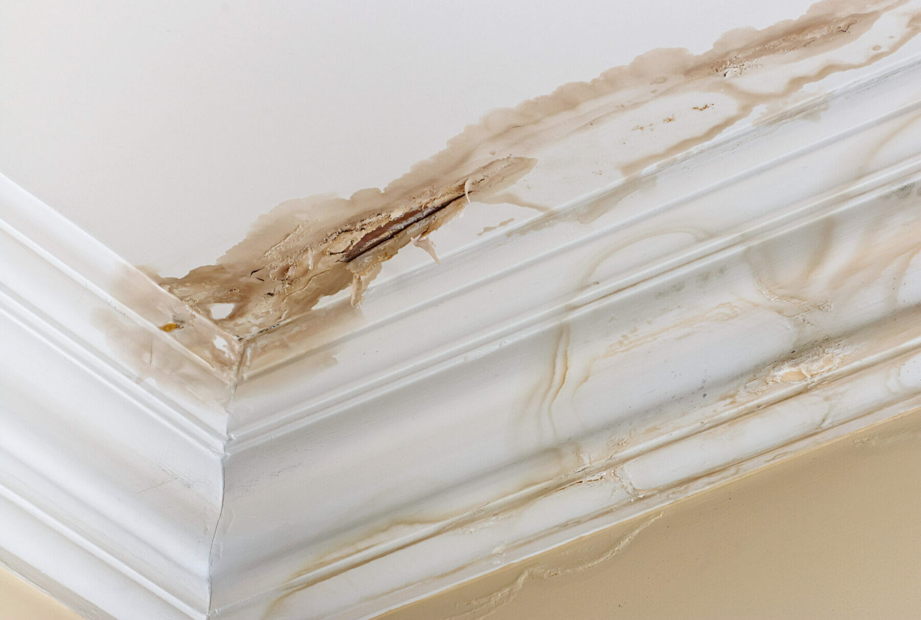 Water Damage in Hixson TN